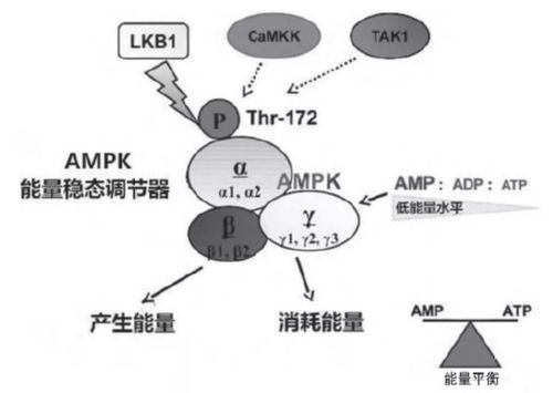 技术分析是科学还是玄学