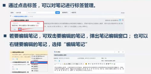 知网查重是否覆盖外文文献？权威解答在此