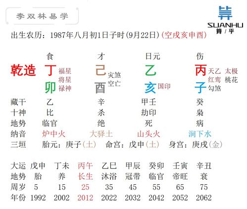 丙子辛卯己酉己巳八字好不好