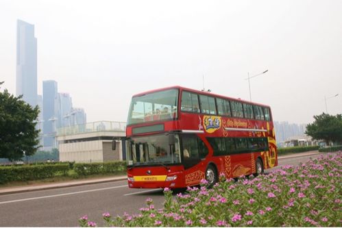 广州观光巴士明起恢复运营,全国医务工作者今年免票