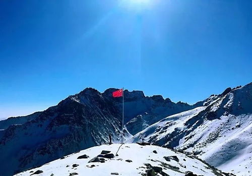 五一出游 登雪山看冰川,逗萌猴拍大片,达古好耍的地方都在这里了