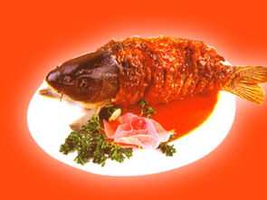 开餐饮加盟店 石锅鱼是你最佳的选择