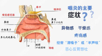 广州咽部异物感协佳医院