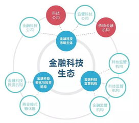 金融科技公司主要是做啥子业务？