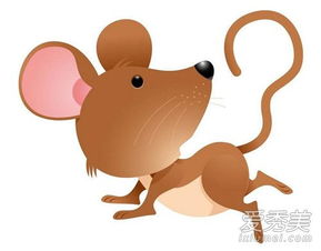 家里有老鼠怎么赶走 家里有老鼠怎么办能除根