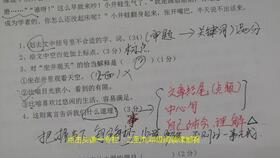 语文阅读成绩如何逆袭学霸 班主任 重视阅读方法,坚持科学训练