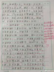 一篇小学生作文,炸出韩寒工作室 10万网友大喊佩服