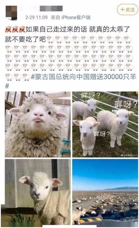 蒙古国送给咱的3万只羊,快来了 网友 想到这些画面就流口水