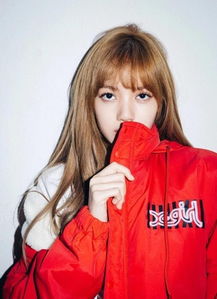 BLACKPINK成员Lisa个代170万美金,创泰国代言费最高,成顶级流量 