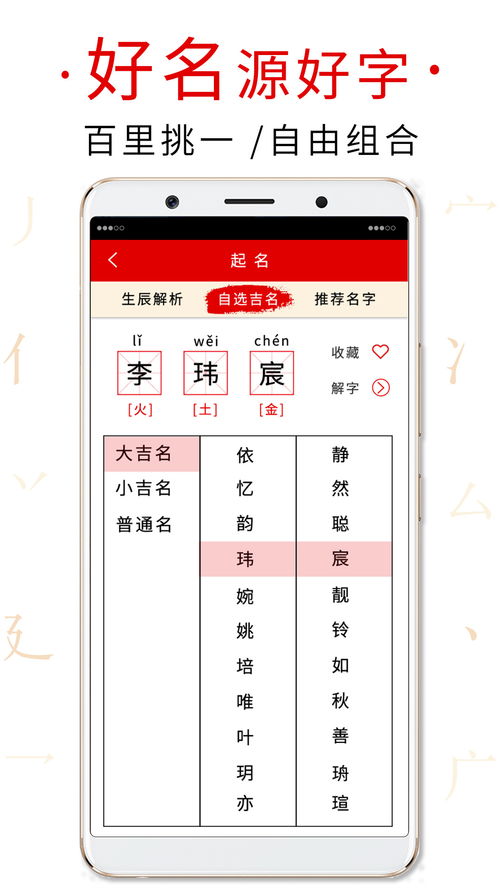 起名取名字典 PC端最新版 