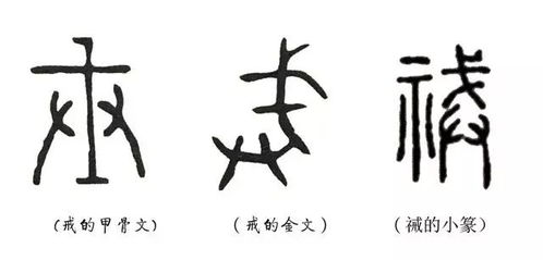 江图带 宁 走近 说文解字 第十一课 带 示 的汉字都有这些意思