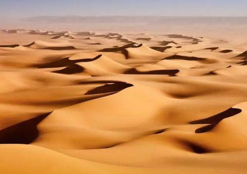 沙丘和摩羯座有什么关系，沙丘和沙漠有什么区别