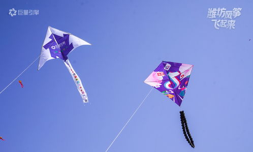 要上天 潍坊国际风筝会17日启幕,用抖音记录风筝飞起来