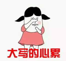 如何参考大学录取数据 北京考生必读 