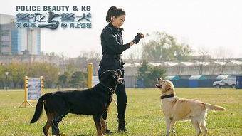 中国警犬品种