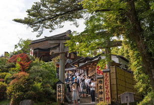 京都旅游景点