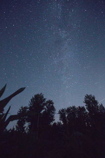 来自苞米地的星星 拍摄地点 鹤壁