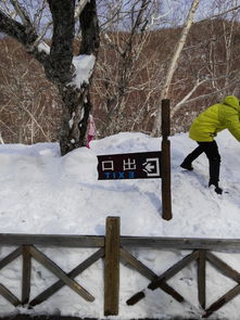 雪遇 一梦到长白