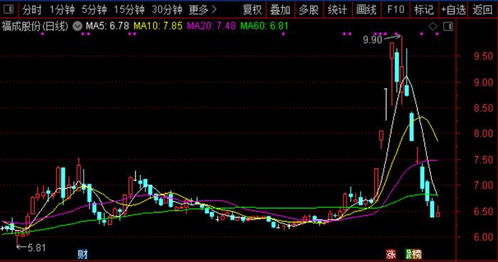 福成股份是那家公司？