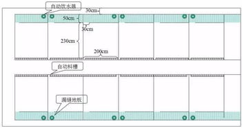 万头猪场总体设计方案及栏位计算方法,超给力