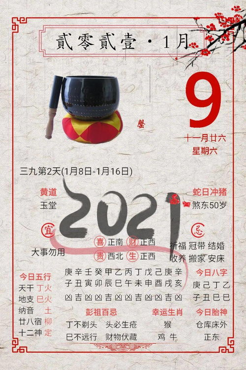 2021年01月09日 庚子年 己丑月 丁巳日 