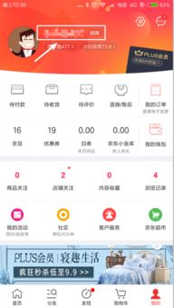 京东ID是用户名那个吗 