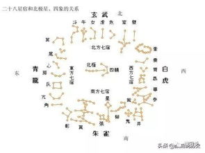 颜威 濮阳 中华第一龙 墓主人到底是谁