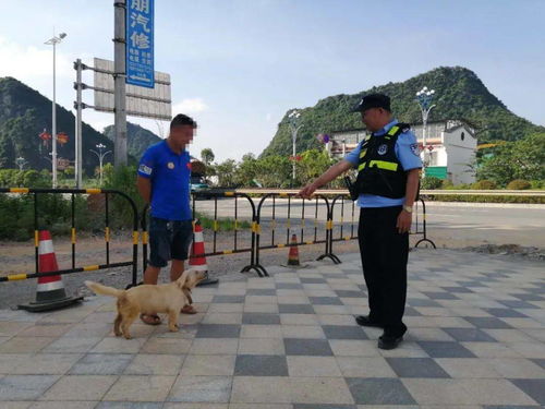 桂林养狗的注意了 刚刚,已有多人为这事被罚款