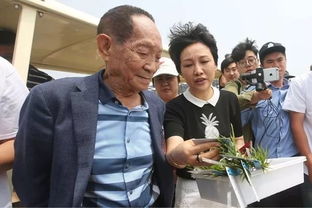 袁隆平团队迪拜沙漠海水稻获成功 当地的居民有福了