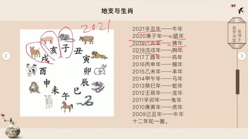 八字命理学,第五课15 涨知识 学习 传统文化 