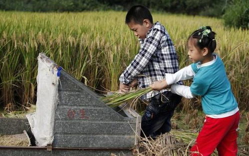 哥要结婚,妈找我借一套房子,哥搬进去第二天我就把门锁给换了