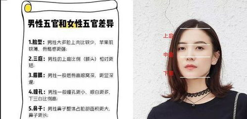 宋佳 长了张 男相脸 却依然美得出挑,普通女人2技巧get起来