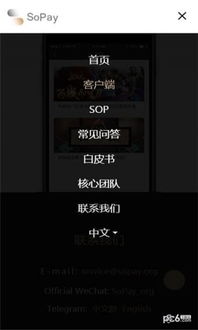 比特币eos柚子币,eos柚子币app官方下载