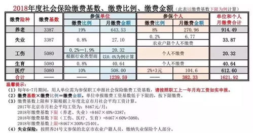 个人缴存基数是工资吗(公积金和社保缴存基数是按照综合工资还是基本工资)