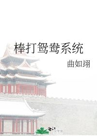 棒打鸳鸯系统 曲如翊 