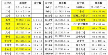 8寸的相片多大 