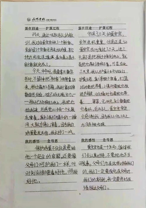 感恩父母的作文300字