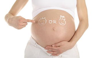 怀孕八个月注意事项(怀孕八个月的注意事项)