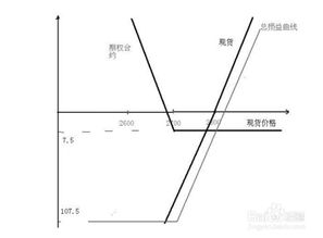 个股期权买入开仓权利金怎样计算