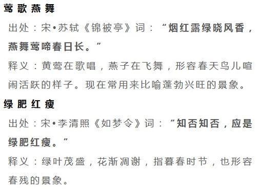 带词语解释的诗句  与其字有关的成语或诗句？