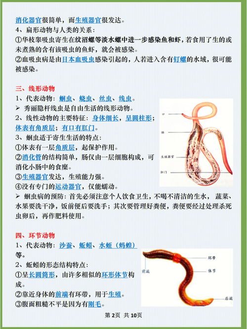 这谁能想到初中生物会考知识点来喽 