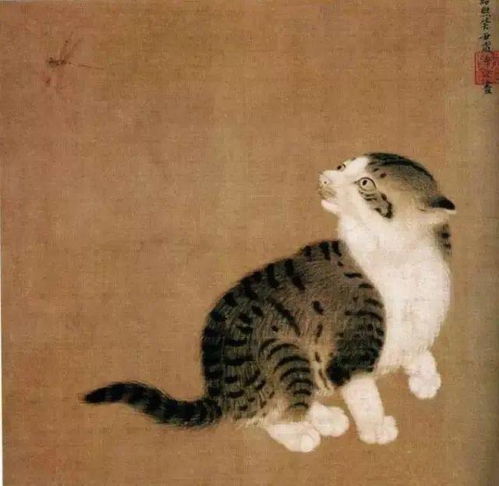 古画里的猫,这也太治愈了吧