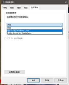 win10空间音效没有显示