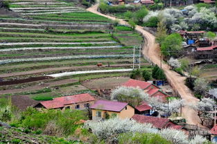 山村小路