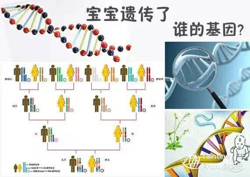 Taintine个人主页 辣妈帮 