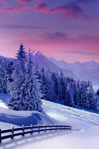 下雪美景高清手机壁纸 图片观赏阅读 Bj塔塔 Bjtata Com