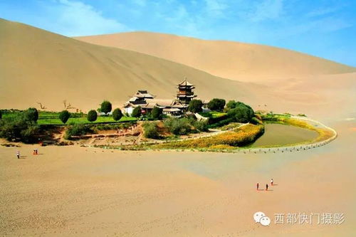 中国神奇的沙漠绿洲 