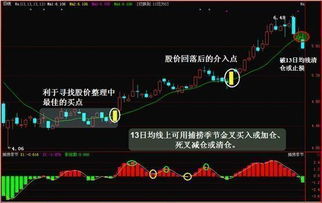 均线操盘：怎么用均线把握住一线强势股票