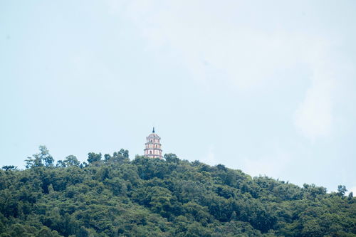 顺峰山公园好玩吗顺德有什么好玩的景点