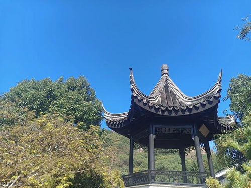 苏州灵岩寺最有良心的景区